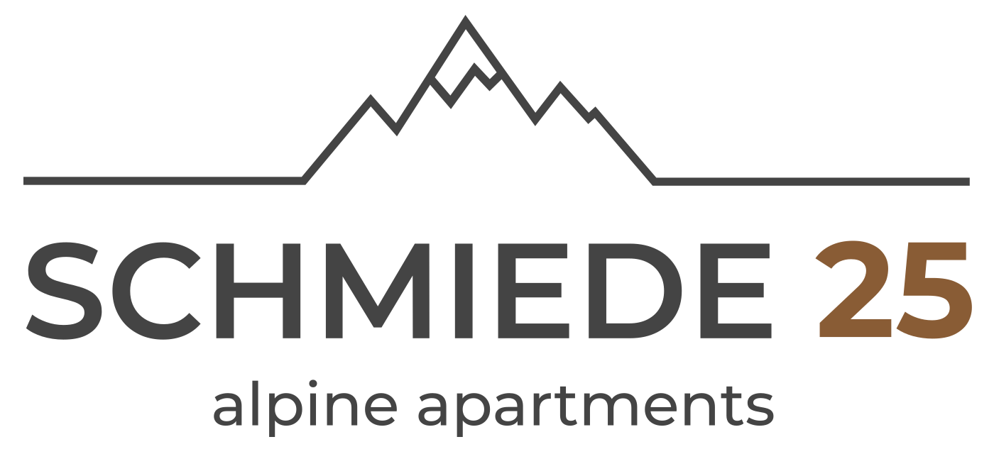 Logo Schmiede25